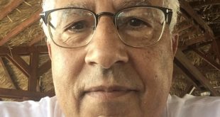 استاذ دكتور محمد المليجي