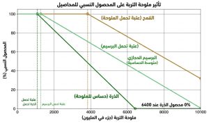 تأثير الملوحة على القمح والذرة والبرسيم الحجازي