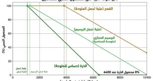 تأثير الملوحة على القمح والذرة والبرسيم الحجازي