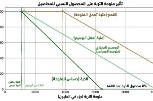 تأثير الملوحة على القمح والذرة والبرسيم الحجازي